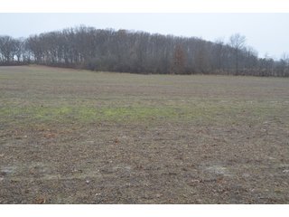 Property photo 18 - FARM AUCTION - 60.5+/- ACRES IN 5 TRACTS IN ALLEN COUNTY, INDIANA